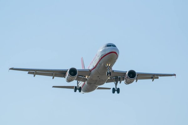 Quels sont les meilleurs spots pour faire de la plongée avec les requins en Afrique du Sud?